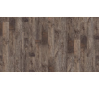 Ламинат Таркетт Timber Форестер 74003 Дуб Альгеро 10/33 4V