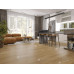 Кварц винил Alpine Floor Классика ECO 173-6 Клен Классический