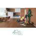 Ламинат Tarkett Woodstock Premium 8/33  Дуб шервуд медовый